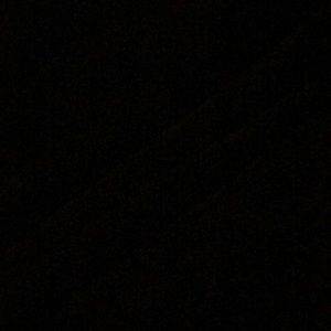 Meet your Posher, P-newt